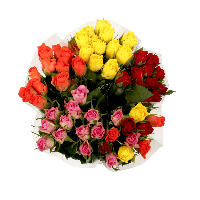 Aldi  Bouquet de 11 roses certifiées fairtrade