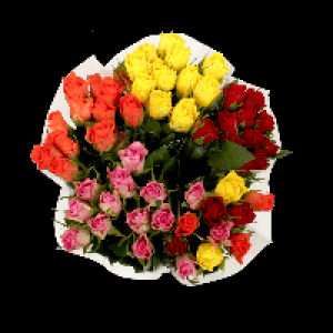 Aldi  Bouquet de 11 roses certifiées fairtrade