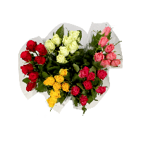 Aldi  Bouquet de 7 roses premium