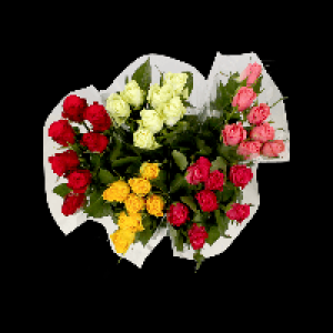 Bouquet de 7 roses premium
