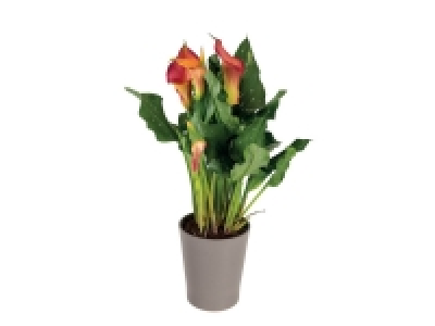 Calla en céramique 7.99 €