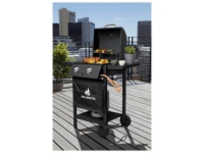 Barbecue à gaz à 2 brûleurs 119.00 €