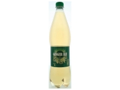 Ginger Ale 0.79 €