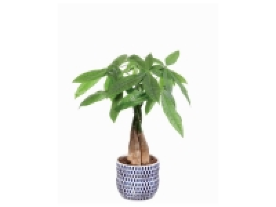 Plante verte en pot céramique 5.94 €