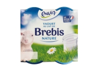 Lidl  Yaourts nature au lait de brebis