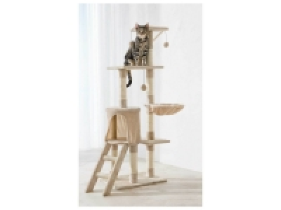 Arbre à chat 39.99 €