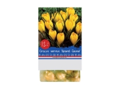 Boîtes de fleurs standards