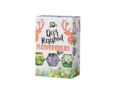 Lidl  Bulbes de fleurs par thème