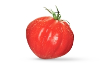Tomate Ancienne