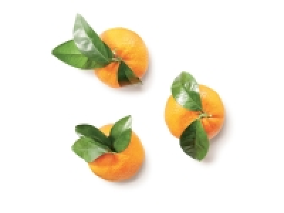 Clémentine Corse