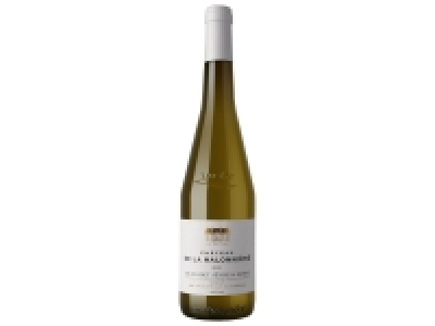 LOIRE | MUSCADET SÈCRE < MAINE SUR LIE