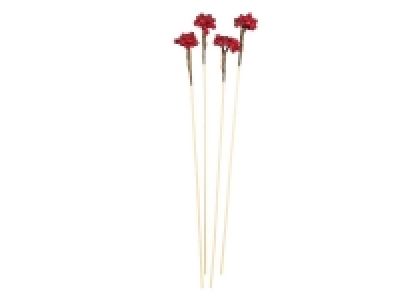 Déco de Noël séchée