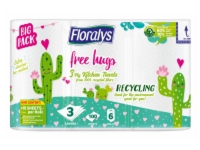 Essuie-tout 3 plis recyclé 4.99 €