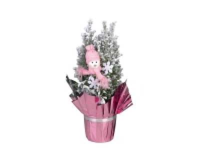 Petit sapin enneigé