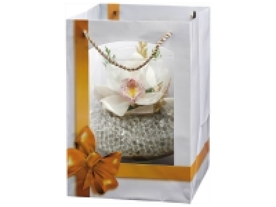 Lidl  Orchidée Cymbidium en verre à cognac