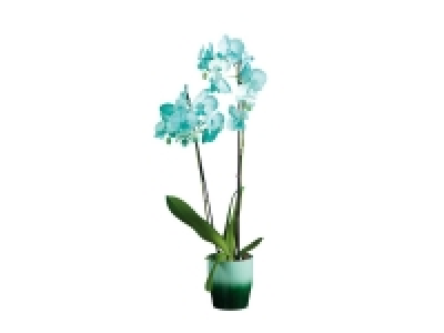 Orchidée « couleur » en céramique assortie