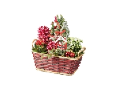 Corbeille fleurie de Noël