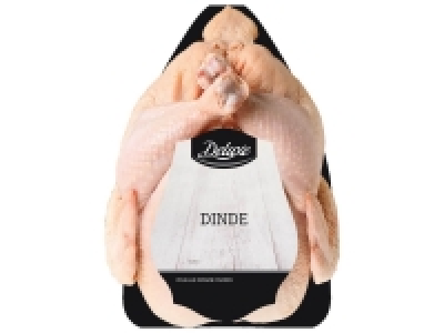 Dinde