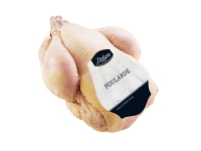 Poularde