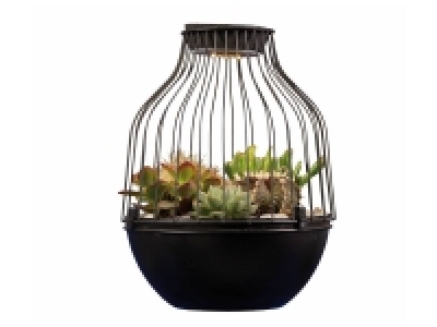 Lidl  Cactus en cage led