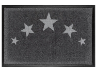 Tapis antipoussière