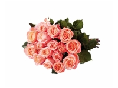 Bouquet de grandes roses