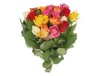 Lidl  Bouquet de roses Arlequin