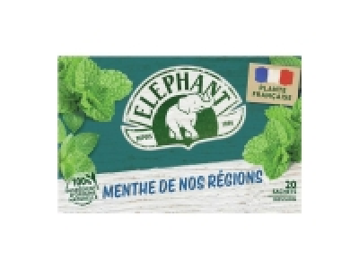 Eléphant de nos régions