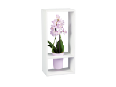 Mini orchidée déco