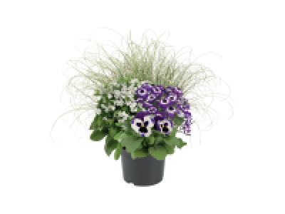 Coupe fleurie exterieur