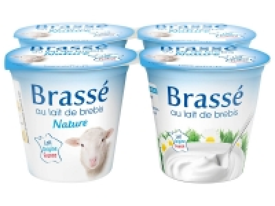 Lidl  Yaourts brebis brass&eacute;s nature
