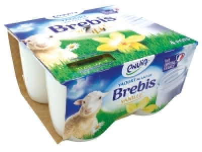 Yaourt brebis &eacute;tuv&eacute;s vanille