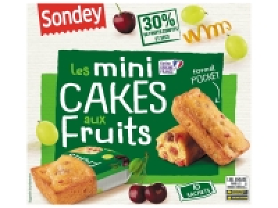 Mini cakes aux fruits