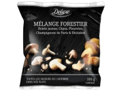 Mélange forestier