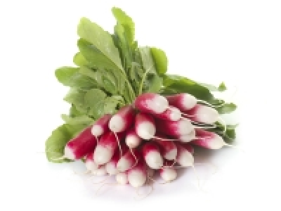 Radis rose
