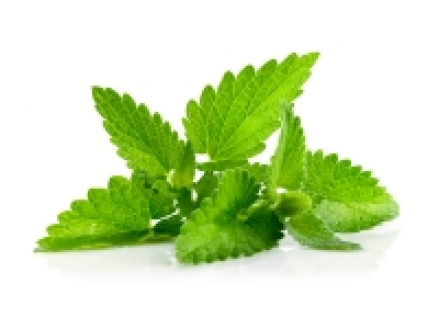 Lidl  Menthe