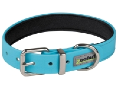 Collier et laisse pour chien
