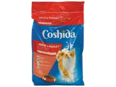 Croquettes chat