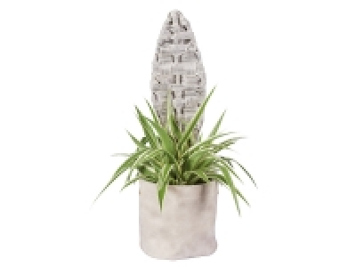 Plante verte en pot déco design
