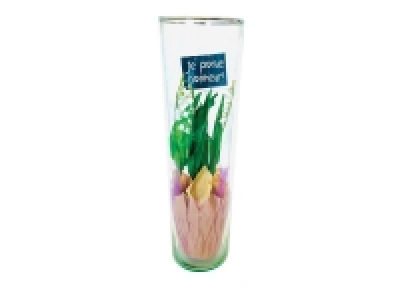 Muguet en vase « bonheur »