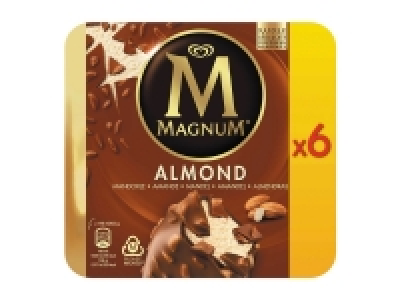 Lidl  Magnum