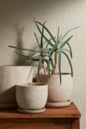 Terracotta plant pot < saucer 39.99 €