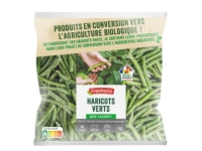 Haricots verts en conversion Bio