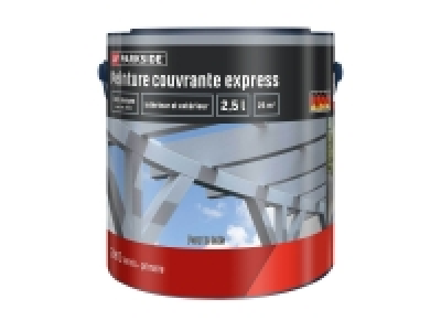 Lidl  Peinture couvrante express