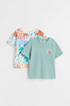Lot de 2 T-shirts en coton
