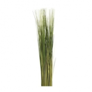  Vert 7.99 €