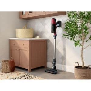 But Rowenta ROWENTA RH6877WO X-PERT 6.60