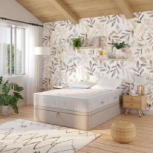 DREAMEA EDITION MELISSE 529.99 €