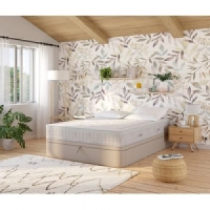 DREAMEA EDITION MELISSE 619.99 €